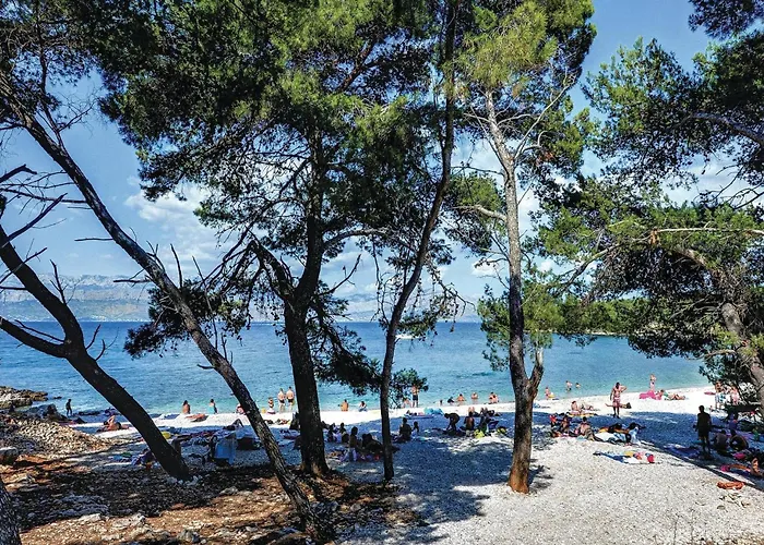 דירה Amazing In *