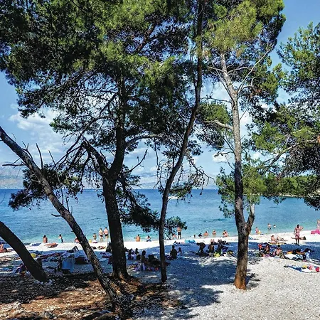 Apartman Amazing In *